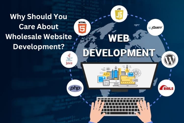 Why Should You Care About Wholesale Website Development? Why Should You Care About Wholesale Website Development?